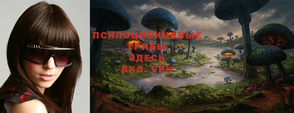 мескалин Богданович