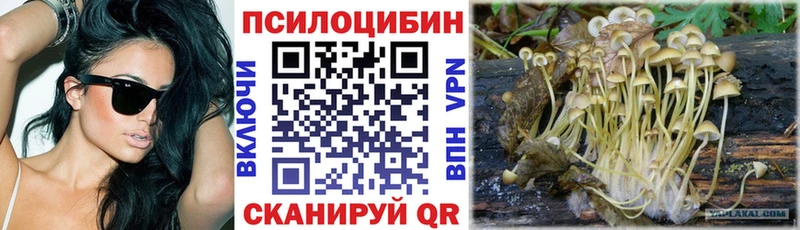 это клад цена Амурск Галлюциногенные грибы MAGIC MUSHROOMS