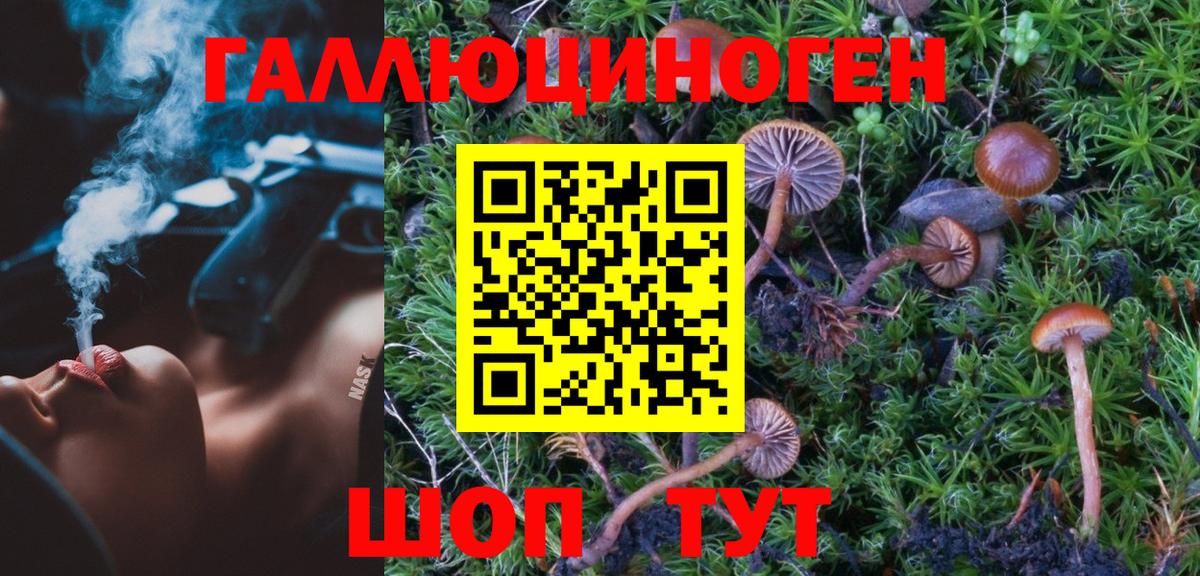 Галлюциногенные грибы MAGIC MUSHROOMS  Амурск 