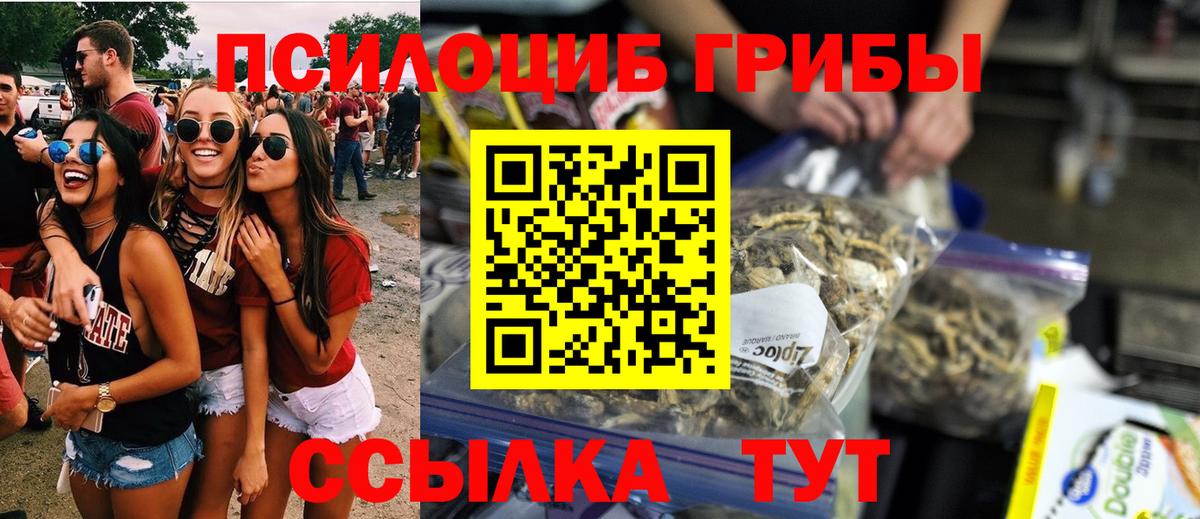 Галлюциногенные грибы Psilocybe  Галлюциногенные грибы MAGIC MUSHROOMS  Амурск  как найти закладки  Вход с VPN 